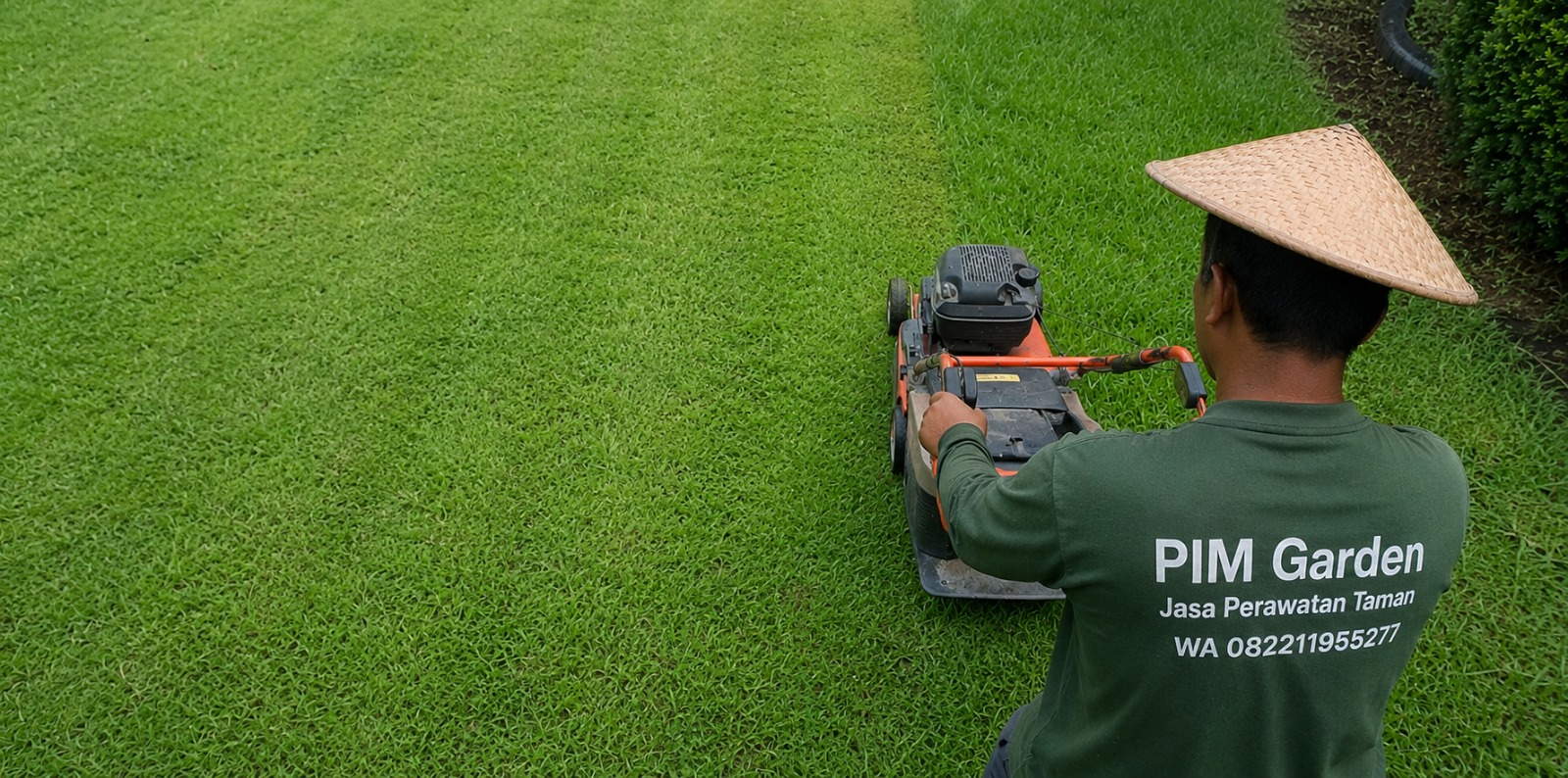 We are helping you to improve your Garden appearance